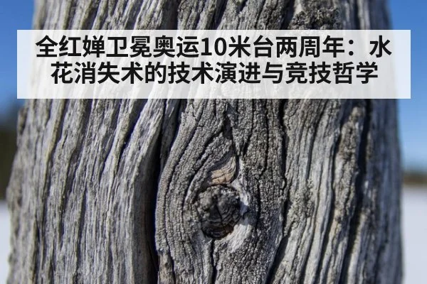 全红婵卫冕奥运10米台两周年：水花消失术的技术演进与竞技哲学
